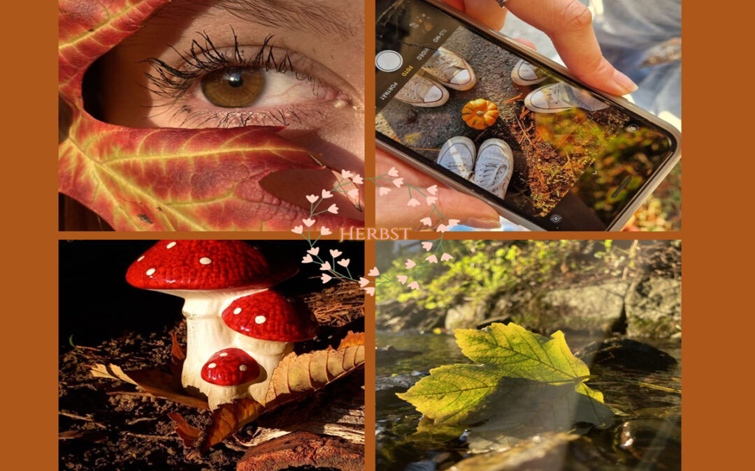 Einstieg in die Fotografie: Herbstliches Fotoshooting  