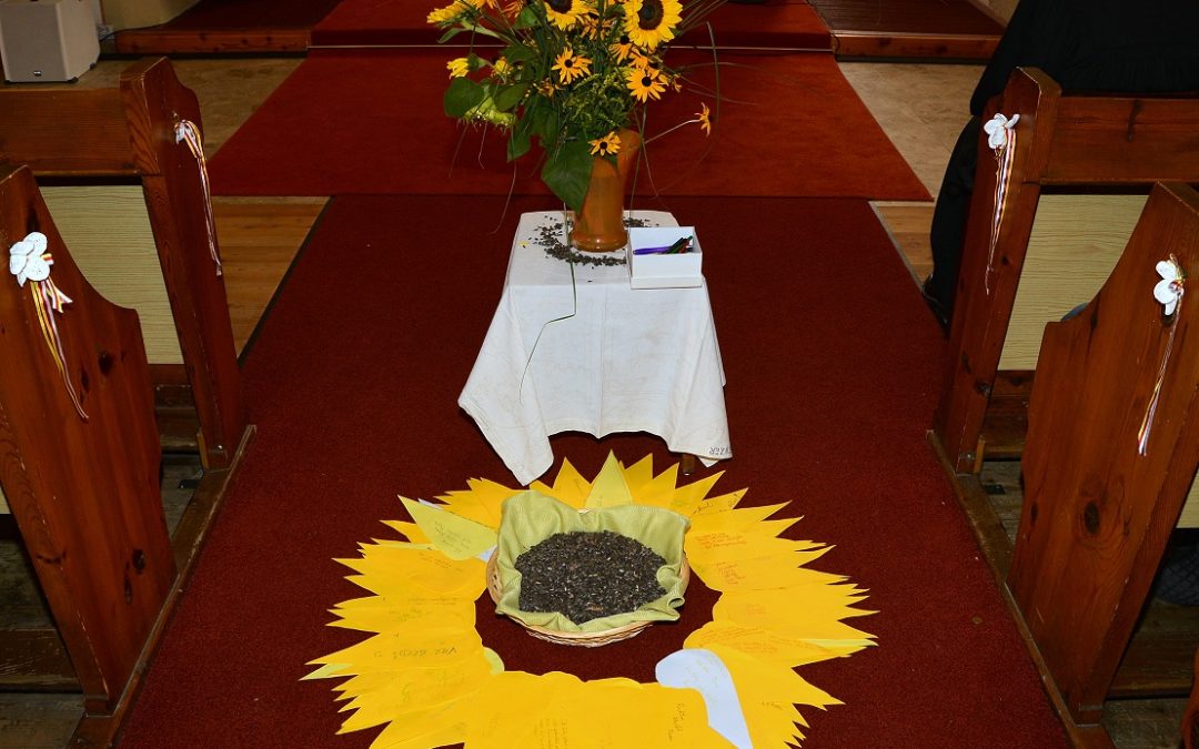Mit Sonnenblumen in das neue Schuljahr