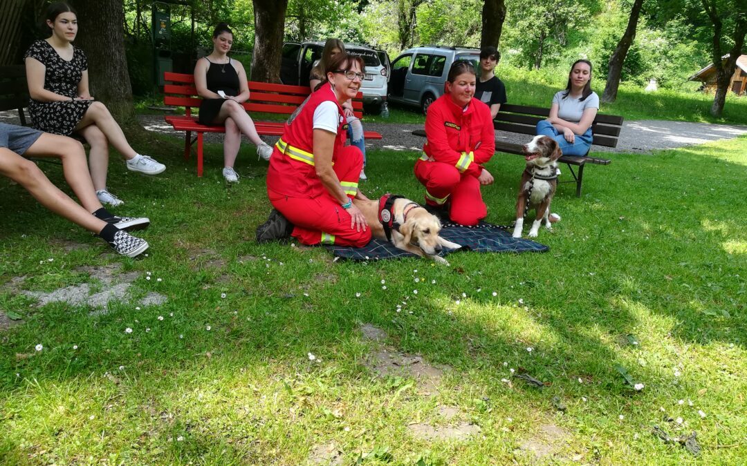 Lebensretter auf vier Pfoten