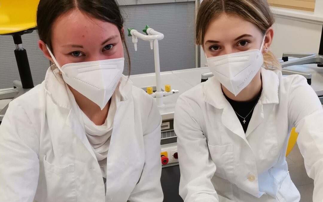 Herzsektion im Unterrichtsfach „Naturwissenschaften“